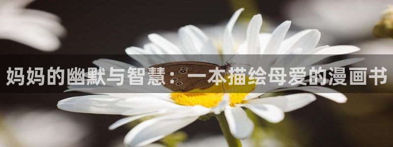 喵趣漫画2025最新版本下载