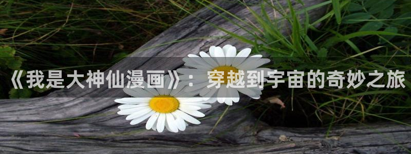 喵趣漫画用不了了