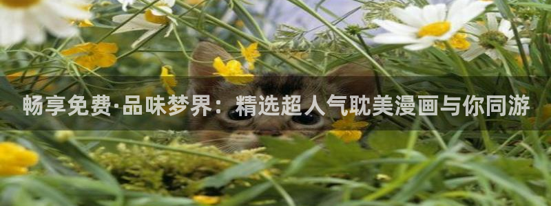喵趣漫画官网版下载