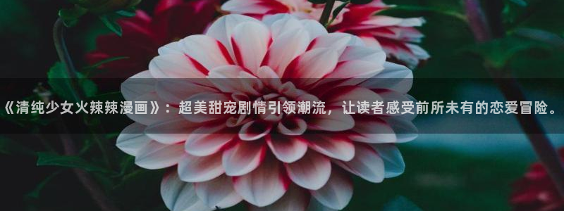 www,喵趣.com