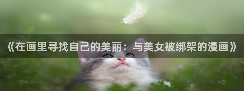 喵趣玩官网