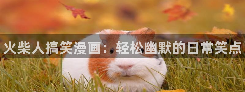 喵趣漫画网页：火柴人搞笑漫画：轻松幽默的日常笑点