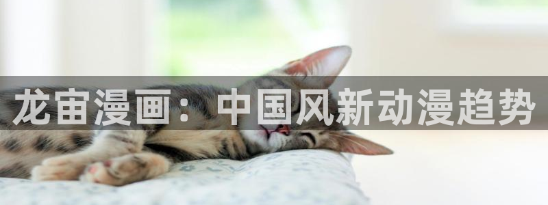 喵趣动漫app正版下载
