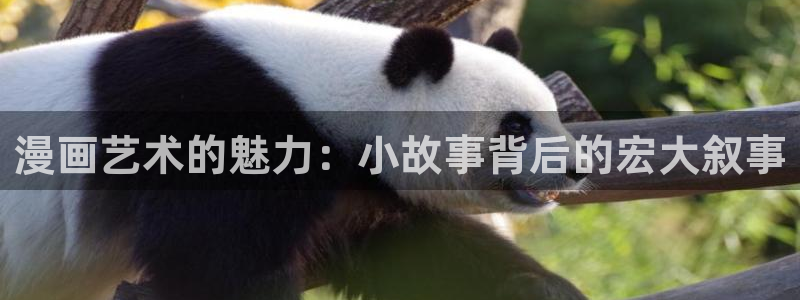 喵趣漫画新名字：漫画艺术的魅力：小故事背后的宏大叙事