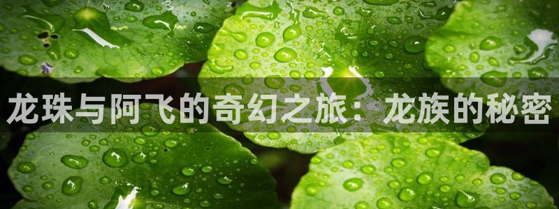 喵趣漫画可以看了吗：龙珠与阿飞的奇幻之旅：龙族的秘密