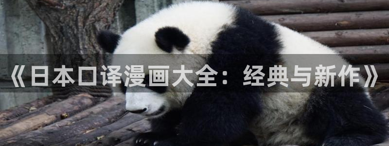 喵趣漫画无广告：《日本口译漫画大全：经典与新作》