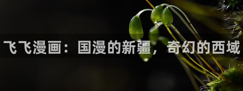 ww.喵趣top：飞飞漫画：国漫的新疆，奇幻的西域