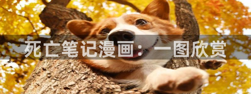 喵趣漫画最新版下载安装：死亡笔记漫画：一图欣赏