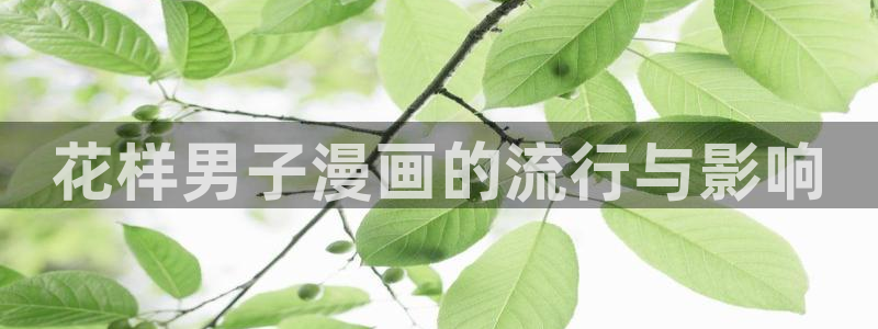 喵趣二次元漫画下载：花样男子漫画的流行与影响