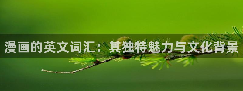 www.喵趣.too：漫画的英文词汇：其独特魅力与文化背景