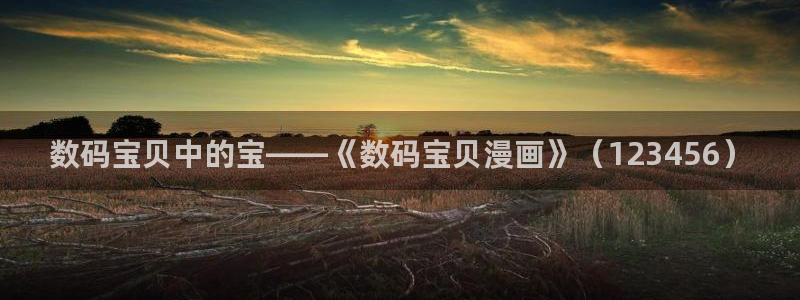 喵趣,漫画：数码宝贝中的宝——《数码宝贝漫画》（123456）