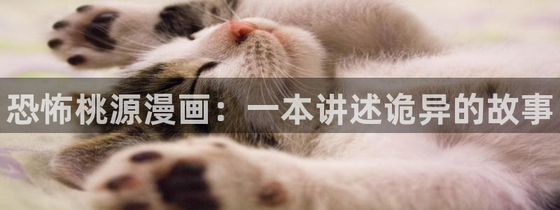 喵趣链接