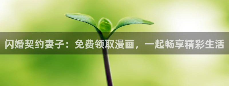 雀魂喵趣券