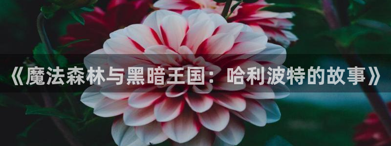 喵趣漫画最新版app下载：《魔法森林与黑暗王国：哈利波特的故事》