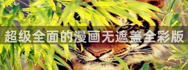 喵趣漫画app下载安卓2023最新版本