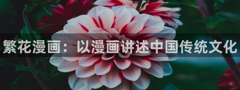 喵趣动漫安装