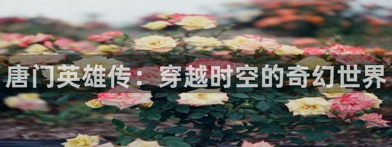 喵趣漫画苹果版