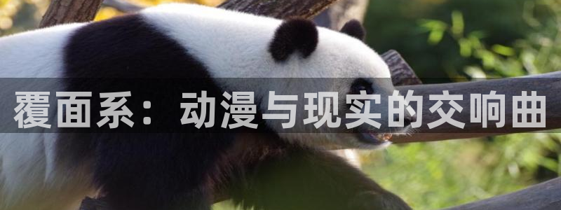 喵趣漫画app下载