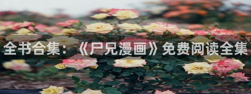 喵趣漫画网页官方