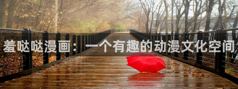 喵趣动画