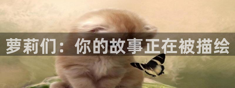 喵趣动漫安装