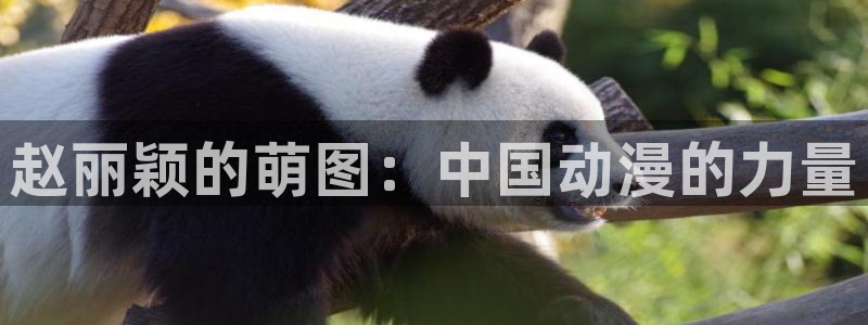 喵趣漫画官网在线入口：赵丽颖的萌图：中国动漫的力量